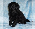 Image preview for Ad Listing. Nickname: black boy