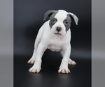 Image preview for Ad Listing. Nickname: Female