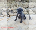 Image preview for Ad Listing. Nickname: Female 1