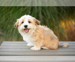 Image preview for Ad Listing. Nickname: Louie