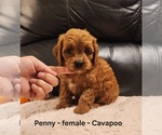 Image preview for Ad Listing. Nickname: Penny