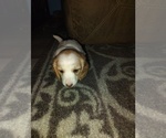 Image preview for Ad Listing. Nickname: No name