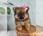 Image preview for Ad Listing. Nickname: Paisley