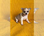 Small #5 Chiranian