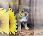Image preview for Ad Listing. Nickname: Julian