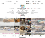 Small Photo #7 Maltipoo Puppy For Sale in MANHATTAN BEACH, CA, USA
