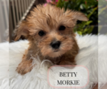 Image preview for Ad Listing. Nickname: Litter of 4