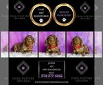 Small #6 Dachshund