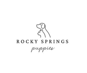 Zuchon Puppy for sale in COSHOCTON, OH, USA