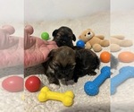 Image preview for Ad Listing. Nickname: Caribbean