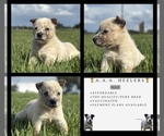 Image preview for Ad Listing. Nickname: Male A