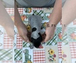  - Photo #3