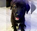 Small #3 Breeder Profile image