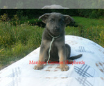 Image preview for Ad Listing. Nickname: Harvest Hayride