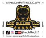 Small #8 American Bully