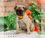 Image preview for Ad Listing. Nickname: Sophie