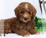 Image preview for Ad Listing. Nickname: Kory