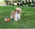 Image preview for Ad Listing. Nickname: Flash