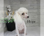 Image preview for Ad Listing. Nickname: Hope