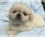 Image preview for Ad Listing. Nickname: Lila