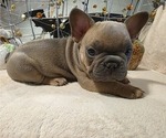 Image preview for Ad Listing. Nickname: Walter