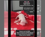 Image preview for Ad Listing. Nickname: Emily
