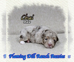 Image preview for Ad Listing. Nickname: Chai