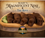 Small Photo #23 Labrador Retriever Puppy For Sale in WHITNEY, TX, USA