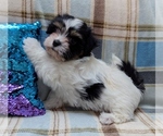 Image preview for Ad Listing. Nickname: NOVA