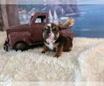 Image preview for Ad Listing. Nickname: Luke