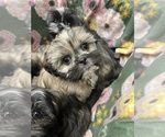 Image preview for Ad Listing. Nickname: Jethro