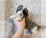 Image preview for Ad Listing. Nickname: Angel