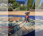 Small #4 Labrador Retriever Mix