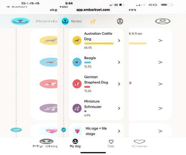 Medium Photo #6 Mutt Puppy For Sale in Highland, IL, USA