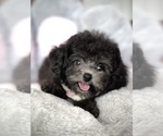 Image preview for Ad Listing. Nickname: Sunnie