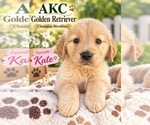 Image preview for Ad Listing. Nickname: Kate
