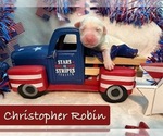 Image preview for Ad Listing. Nickname: Christopher Rob