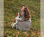 Small Photo #1 Cavalier King Charles Spaniel Puppy For Sale in JACKSON, OH, USA