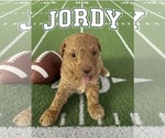 Image preview for Ad Listing. Nickname: Jordy