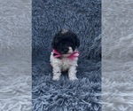 Image preview for Ad Listing. Nickname: Lilah
