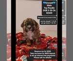 Image preview for Ad Listing. Nickname: Emmett