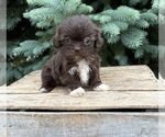 Image preview for Ad Listing. Nickname: Halle