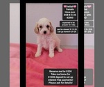 Image preview for Ad Listing. Nickname: Delilah
