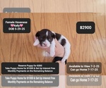 Image preview for Ad Listing. Nickname: Kelly