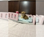 Image preview for Ad Listing. Nickname: Jen