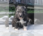 Image preview for Ad Listing. Nickname: Bobby