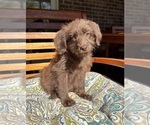 Image preview for Ad Listing. Nickname: Chloe