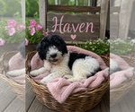 Image preview for Ad Listing. Nickname: Haven