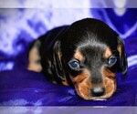 Image preview for Ad Listing. Nickname: Calypso