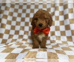 Image preview for Ad Listing. Nickname: Amos